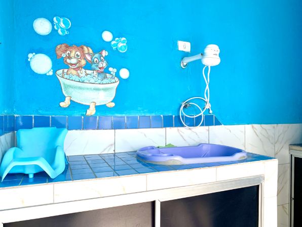 Foto de Colégio Albert Sabin